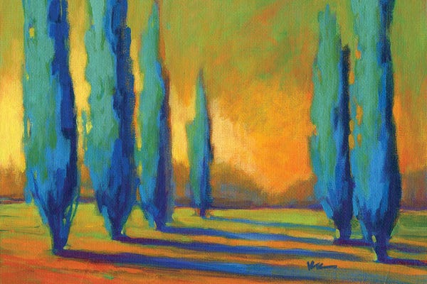 Cypress Trees: Cypress Road V by Konnie Kim