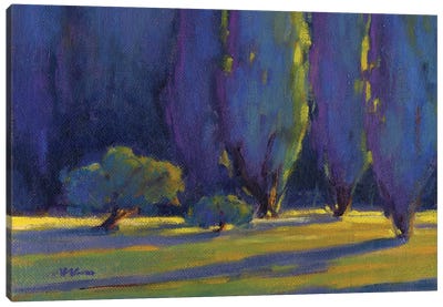 First Light Canvas Art Print - Cypress Tree Art
