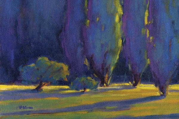 Cypress Trees: First Light by Konnie Kim
