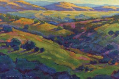 Golden Hills by Konnie Kim framed canvas print