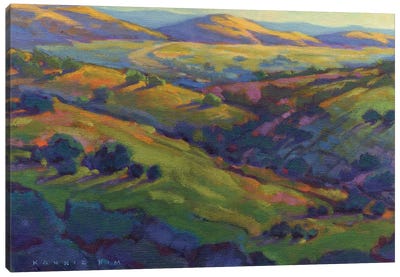 Golden Hills Canvas Art Print - Konnie Kim
