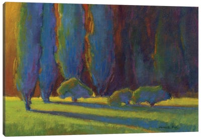 Into The Light Canvas Art Print - Cypress Tree Art
