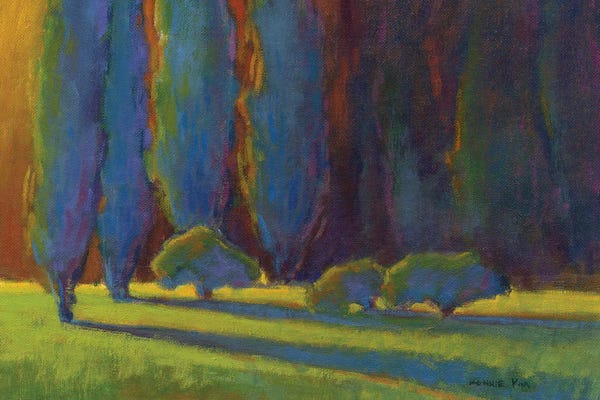 Cypress Trees: Into The Light by Konnie Kim