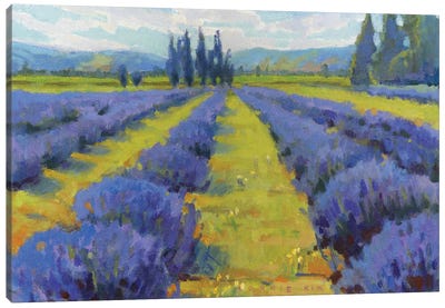 Lavender Dreams Canvas Art Print - Pastel Impressionism