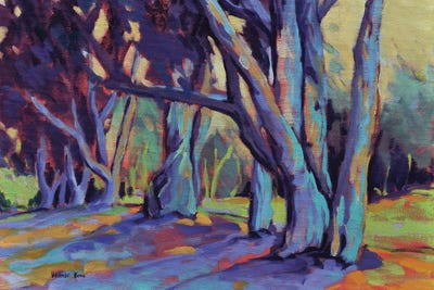 Older And Wiser III by Konnie Kim framed canvas print