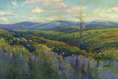 Super Bloom IV by Konnie Kim canvas print