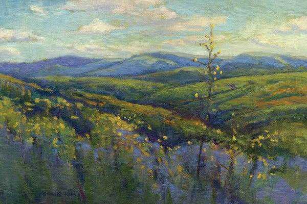 Konnie Kim: Super Bloom IV by Konnie Kim