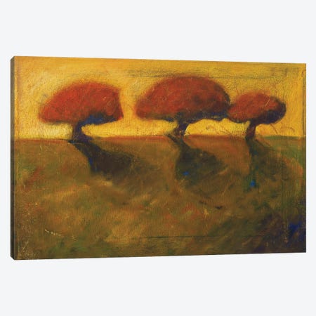 Three Orange Trees Canvas Print #KIK89} by Konnie Kim Canvas Art Print