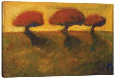 Three Orange Trees Canvas Art Print - Konnie Kim