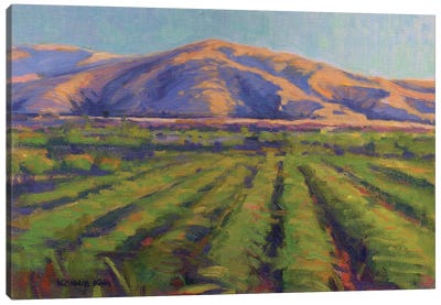 View From The Train Canvas Art Print - Vineyard Art