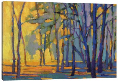 Walk In The Woods III Canvas Art Print - Konnie Kim