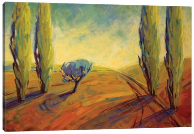 Where Evening Begins II Canvas Art Print - Cypress Tree Art