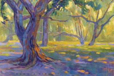 Wise Sycamore by Konnie Kim framed canvas print