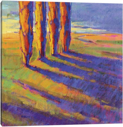 Colors Of Summer V Canvas Art Print - Cypress Tree Art