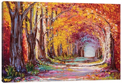 Into The Woods II Canvas Art Print - 3-Piece Tree Art
