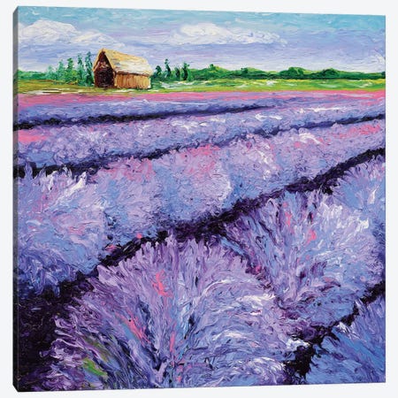 Lavender Breeze Triptych Panel I Canvas Print #KIM15} by Kimberly Adams Canvas Print