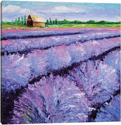 Lavender Breeze Triptych Panel I Canvas Art Print - Pantone Ultra Violet 2018