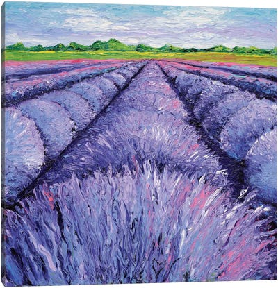 Lavender Breeze Triptych Panel II Canvas Art Print - Kimberly Adams