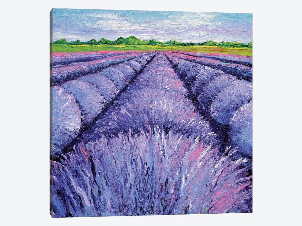 Lavender Breeze Triptych Panel II by Kimberly Adams 1-piece Canvas Print