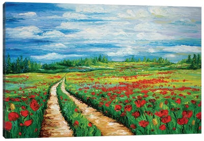 Pathway To Tranquility Canvas Art Print - Field, Grassland & Meadow Art