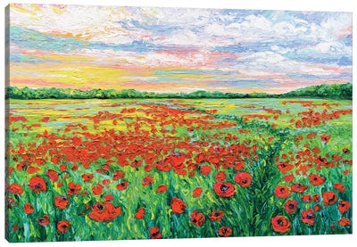 Poppied Path Canvas Art Print - Field, Grassland & Meadow Art