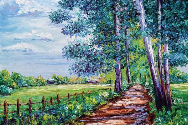 Trails, Paths & Roads: Shaded by Kimberly Adams