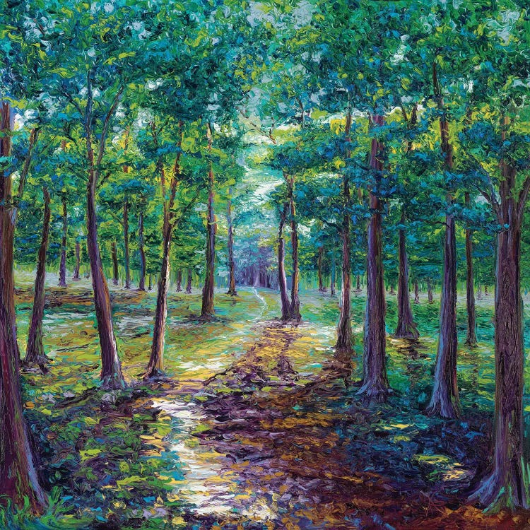 Under The Canopy by Kimberly Adams wall art