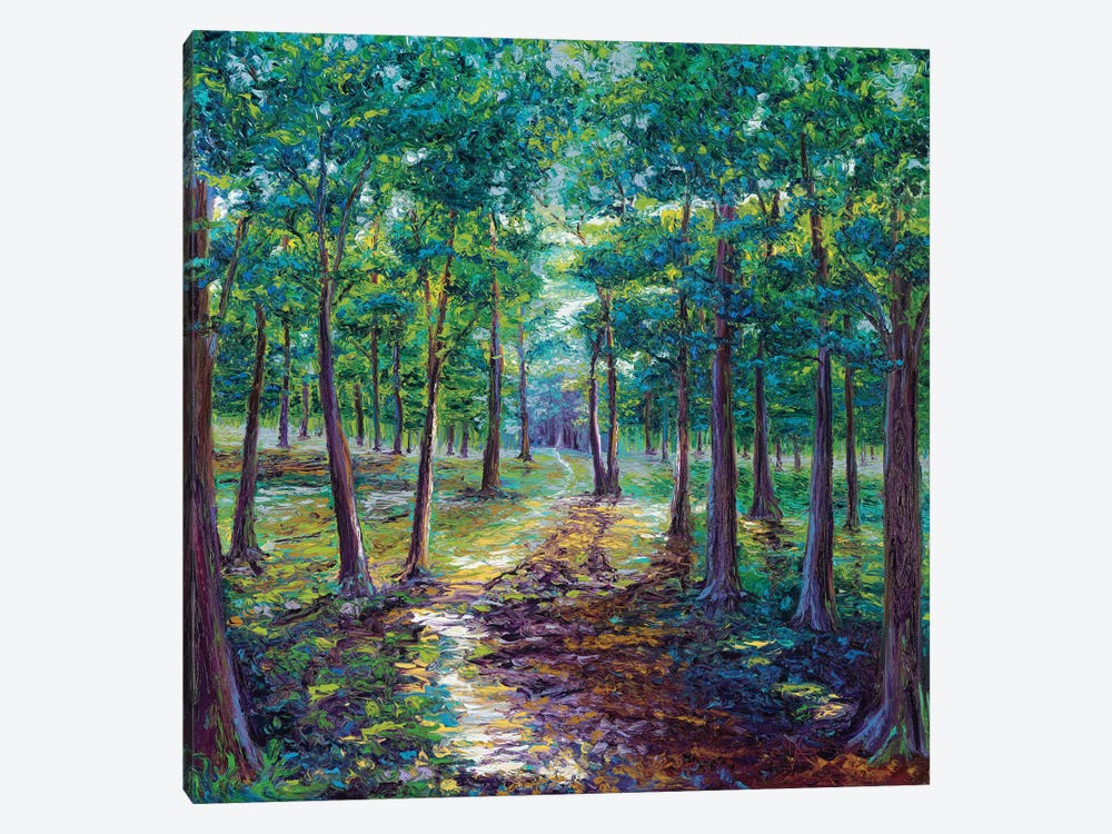 Under The Canopy by Kimberly Adams 1-piece Canvas Print
