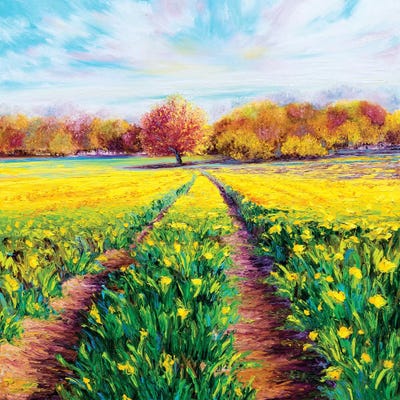 Golden Fields by Kimberly Adams canvas print