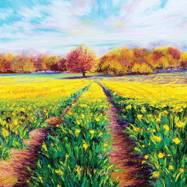 Golden Fields by Kimberly Adams wall art