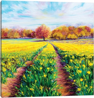 Golden Fields Canvas Art Print - Kimberly Adams