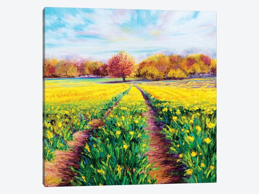 Golden Fields by Kimberly Adams 1-piece Canvas Art