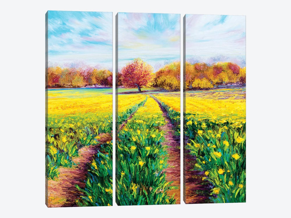 Golden Fields by Kimberly Adams 3-piece Canvas Wall Art