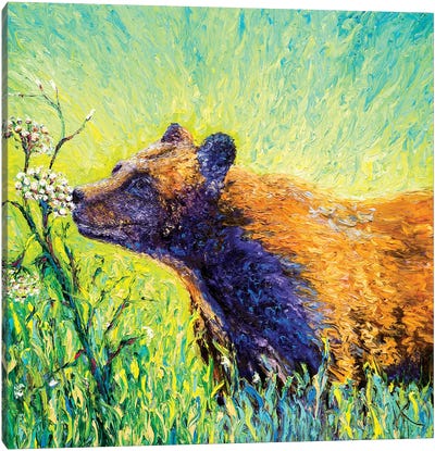 Hemlock Bear Canvas Art Print - Kimberly Adams