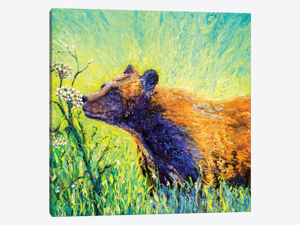 Hemlock Bear by Kimberly Adams 1-piece Canvas Art Print