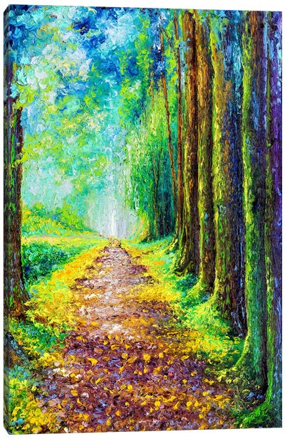 Restful  Canvas Art Print - Trail, Path & Road Art
