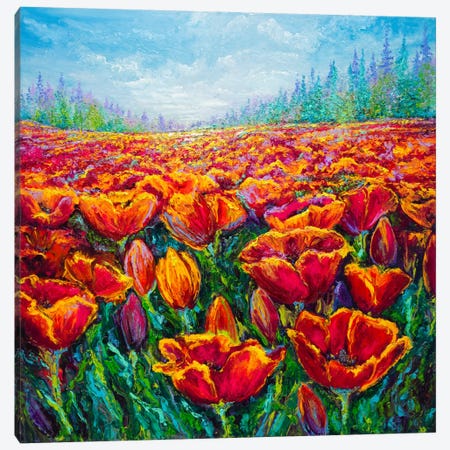 Tulip Time Canvas Print #KIM41} by Kimberly Adams Canvas Print