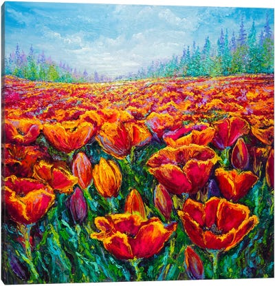 Tulip Time Canvas Art Print - Kimberly Adams