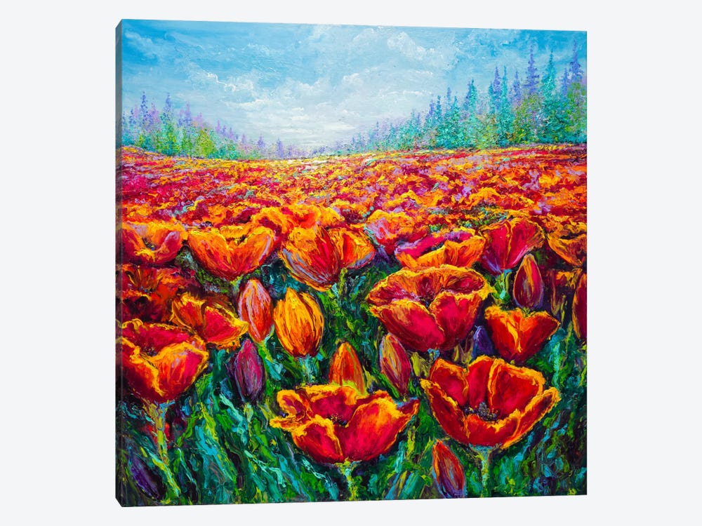 Tulip Time by Kimberly Adams 1-piece Canvas Print
