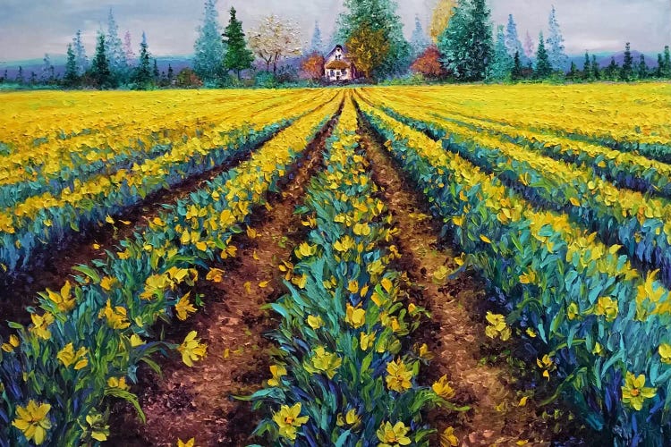 Valiant Field Of Daffodils