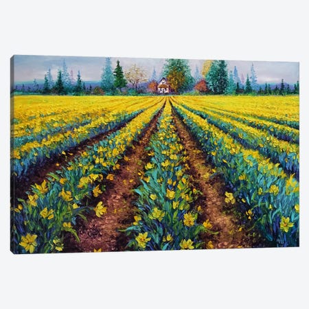 Valiant Field Of Daffodils Canvas Print #KIM44} by Kimberly Adams Canvas Wall Art