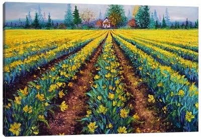 Valiant Field Of Daffodils Canvas Art Print - Daffodil Art