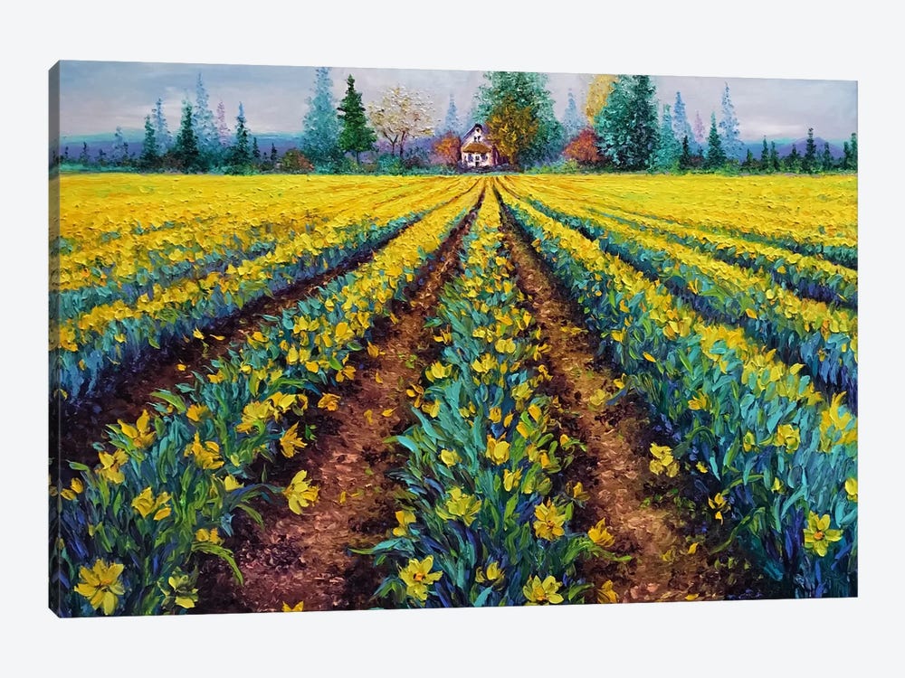 Valiant Field Of Daffodils by Kimberly Adams 1-piece Canvas Art