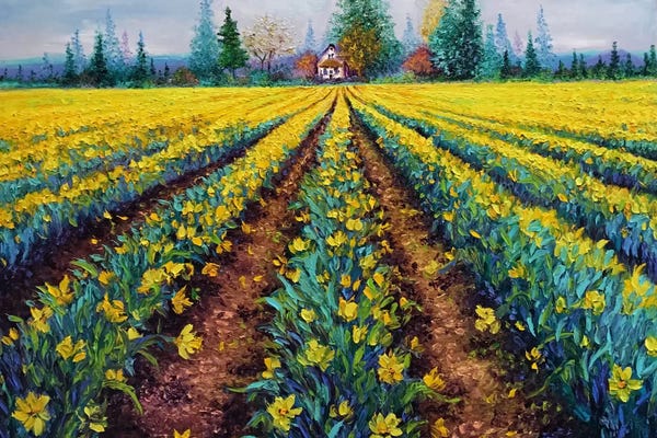 Daffodils: Valiant Field Of Daffodils by Kimberly Adams