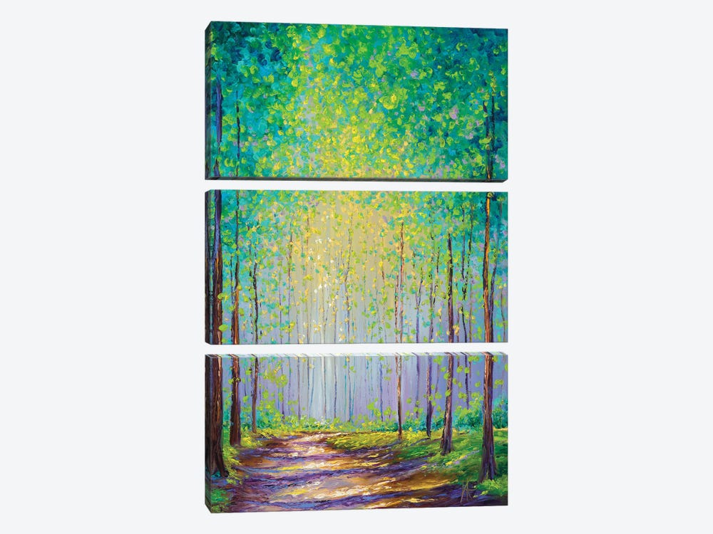Afternoon Stroll by Kimberly Adams 3-piece Canvas Artwork