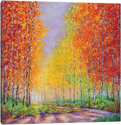 Aspens In Autumn Canvas Art Print - Kimberly Adams