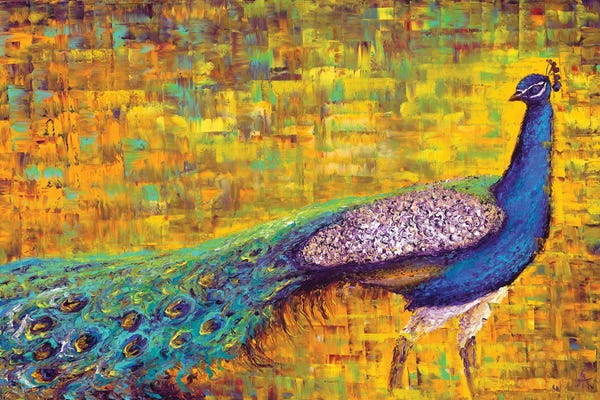 Peacocks: Eyes Of The Sky by Kimberly Adams