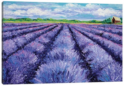 Champ de Lavande Canvas Art Print - 3-Piece Floral & Botanical Art