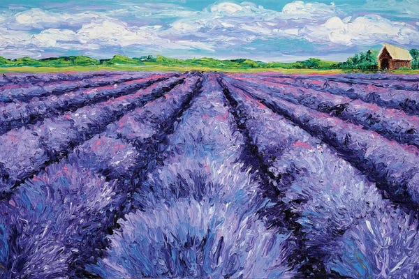 Landscapes In Bloom: Champ de Lavande by Kimberly Adams