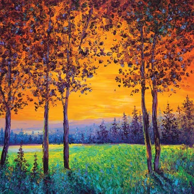 Sunset by Kimberly Adams framed wall art